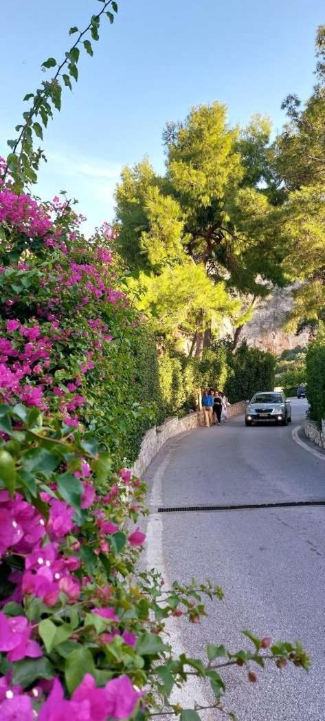 Alianthos Beach Apartment Vari  Bagian luar foto